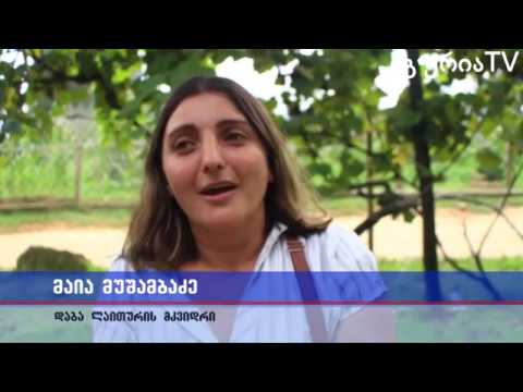 გურიის ახალი ამბები – გაზით მომარაგების პრობლემები გურიის სოფლებში