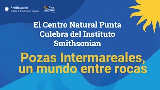 Punta Culebra: Gira al Litoral Rocoso
