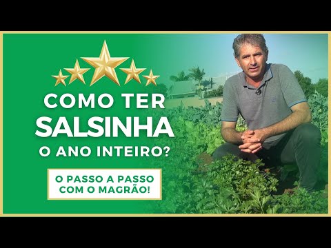 Vídeo: Problemas Com O Cultivo De Salsa