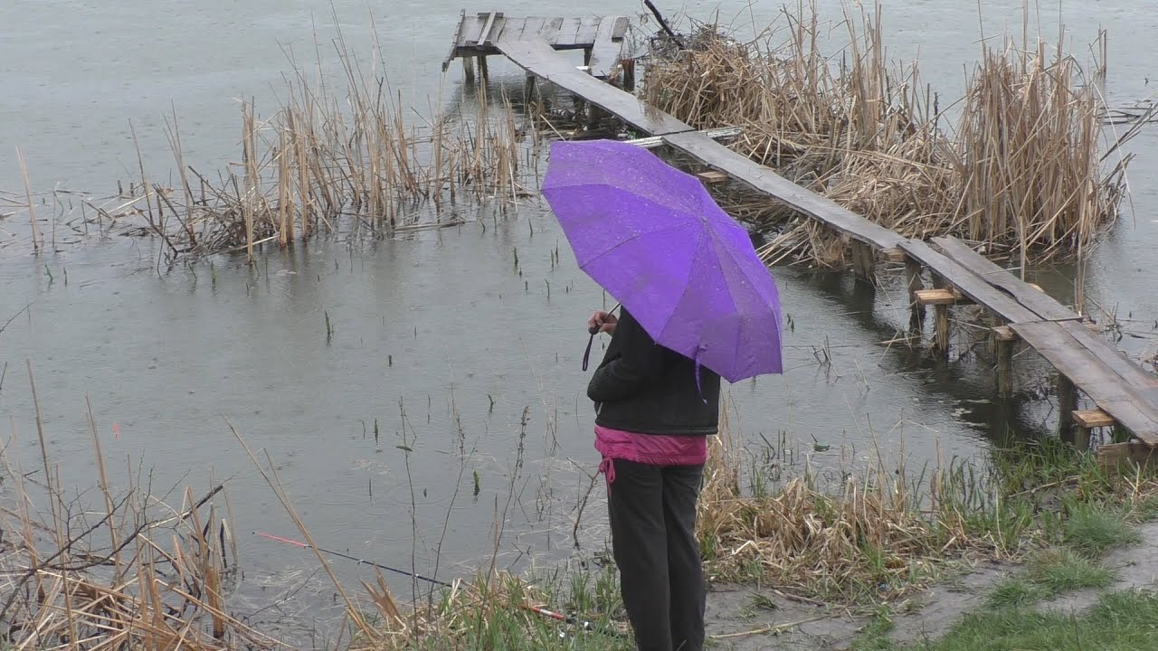 Рыбалка. Каша для карасей.  My fishing.