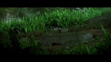 Mobile legend preya. Ruby. Roger vs karina. Gatotkaca. Tigreal