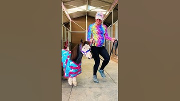 Thumbnail of Teaching my Mini Horse to dance 🦄 #horse #equestrian #horses #pony #pets #animals #dance #shorts