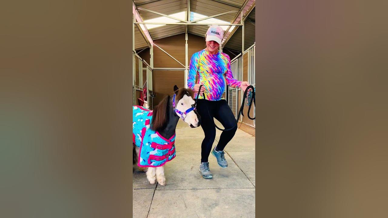Teaching my Mini Horse to dance 🦄 #horse #equestrian #horses #pony #pets #animals #dance #shorts