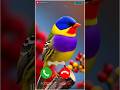 mi phone ringtone || mi (remix) Mi mobile ringtone #smartphone #xiaomimimix #redmimobile #shorts SMS