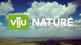 Телеканал Viju Nature