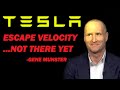 Tesla 2020 Predictions by Loup Ventures