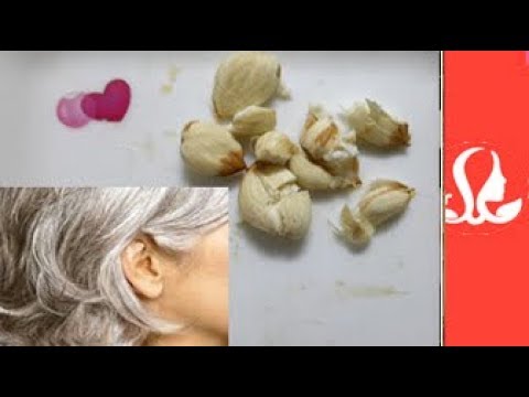حبة واحدة تخلصك من الشيب لسن ال 40 وال 50 علاج الشيب والشيب المبكر