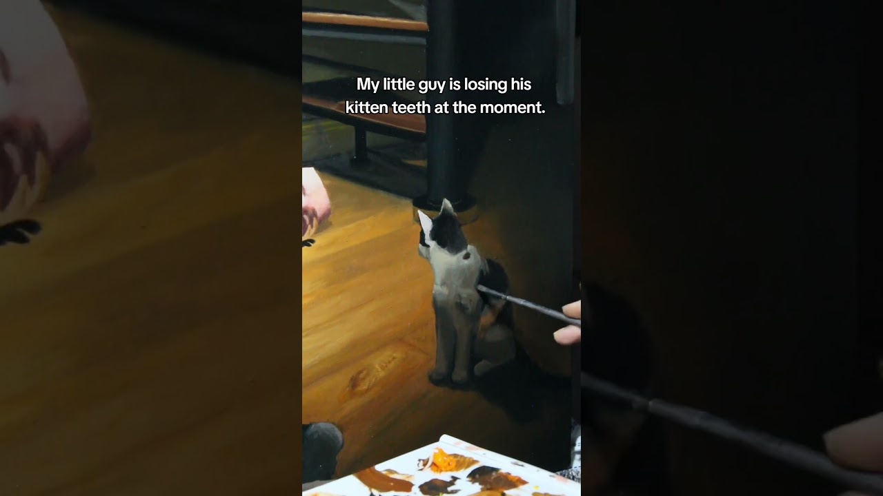 Symbolism of black and white cats 