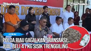 BREAKING NEWS- Polda Riau Gagalkan Transaksi Jual Beli 41 Kg Sisik Trenggiling
