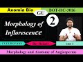 Morphology of Inflorescence| Basic| CUET-PG| Bsc Botany| 3rd Sem GU| Dr. Rajib Borah| Axomia Bio