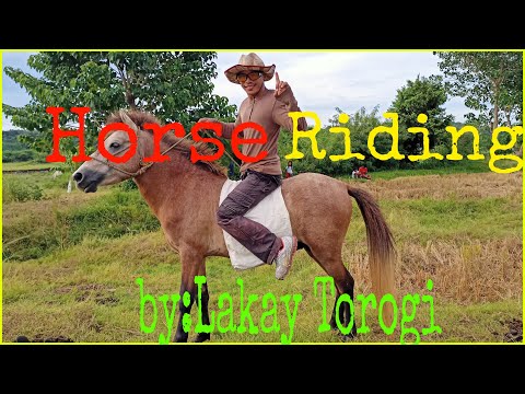 HORSE RIDING // Paano sumakay sa kabayo at mahulog...
