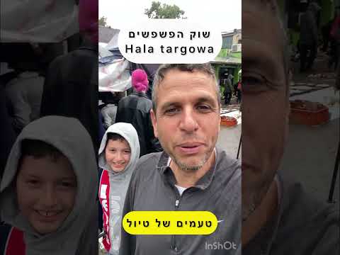 וִידֵאוֹ: שוקי הפשפשים הטובים ביותר של ברלין