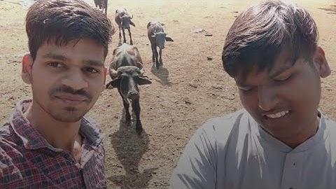 MY FIRST VLOG ON YOUTUBE VIRAL!🔥 @souravjvlogs #viilagelife 