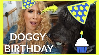 GOLDENDOODLE BIRTHDAY, MAX BIRTHDAY VLOG