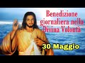 Benedizione nella Divina Volontà con don Umberto Dall'Igna 30 Maggio 2026 Teleradiokolbe