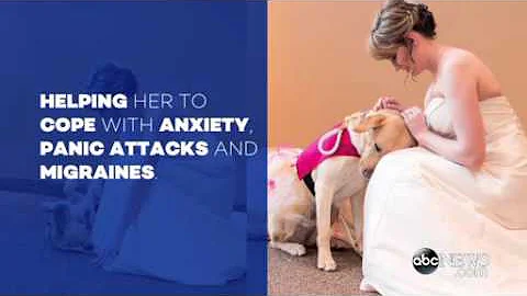 Bride Walks Down Aisle With Her Service Dog