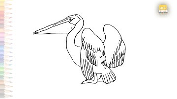 Pelican drawings | Sea birds drawing videos | How to draw Pelican step by step | #artjanag