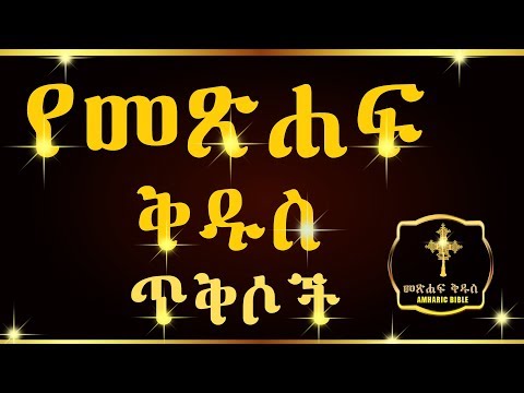 ቪዲዮ: የጠፋ ውሻ ወደ ቤት እንዲገባ ትዊተር እንዴት እንደረዳው