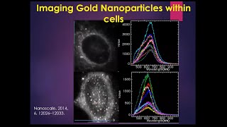 Nanomedicine Research Using CytoViva’s Hyperspectral Microscope Update