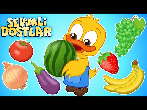 Meyve ve Sebzeleri Öğreniyorum 🍇🍅 Bil Bakalım Hangisi🤓 Sevimli Dostlar Bebek ve Çocuk Şarkıları