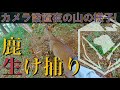 【鹿罠猟】良質なお肉の捕り方と山の中の様子！