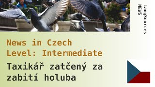 Taxikář zatčený za zabití holuba. Czech Listening, Intermediate. News