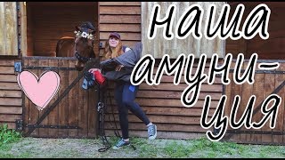 Мои конные вещи/equestrian blog