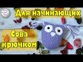 КАК СВЯЗАТЬ СОВУ КРЮЧКОМ? /  Мастер класс для начинающих