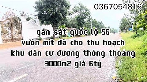 cần bán vườn mít đã cho thu hoạch đất thổ cư , đường nhựa thông , xà bang châu đức bà rịa vũng tàu