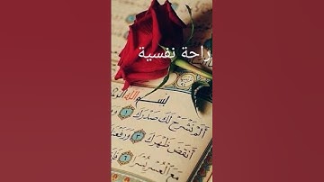 #سورة_الشرح #احمد_العجمي #راحة_نفسية #القرآن_الكريم #اكسبلور #pourtoi #foryou