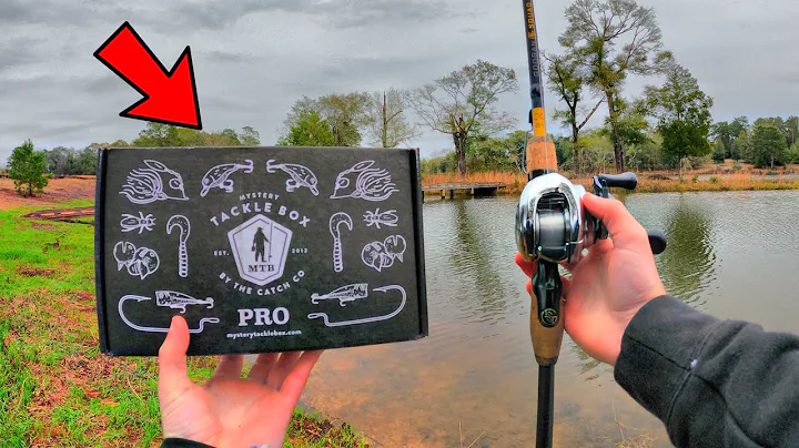 You NEED To Have This Fishing Box (LOADED)