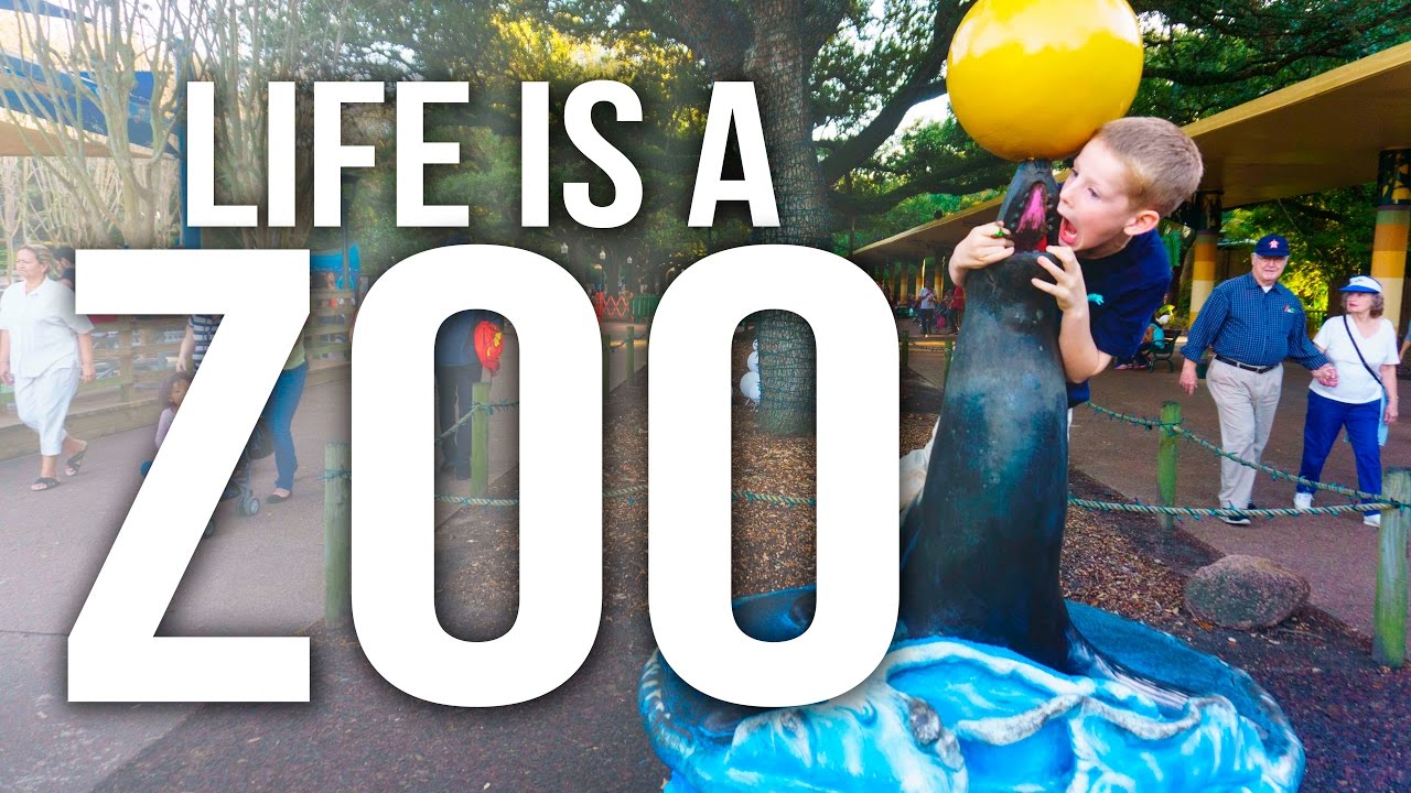 LIFE IS A ZOO in an RV YouTube