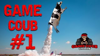 Game Coub Compilation When Idiots Play Games