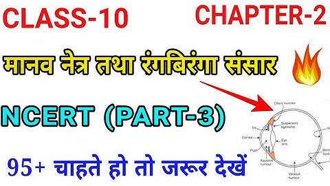 मानव नेत्र तथा रंगबिरंगा संसार 10th(Part-3)/ Class 10 Science ,/Science Board exam 2020,/Chapter 3