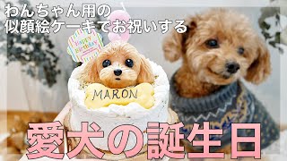 愛犬の誕生日を似顔絵ケーキでお祝いした