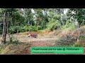 11cent house plot for sale in payyampally 75000cent  wayanad