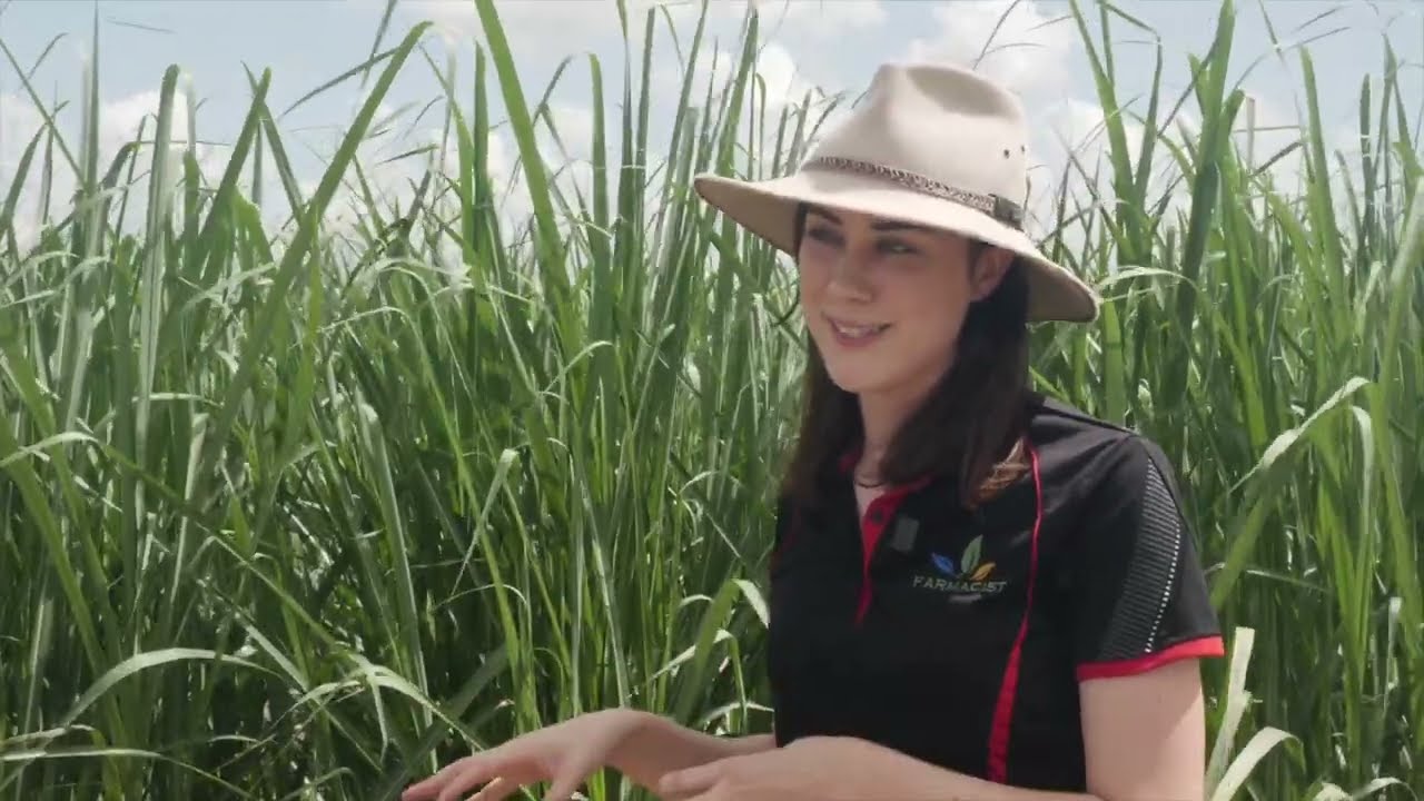 Leading Revolutionary Change