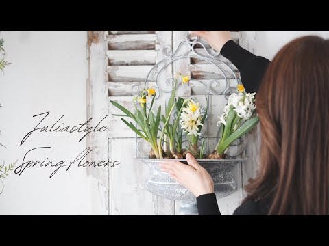 冬の花アレンジメントで部屋が変わる！プロが教える5つのコツ