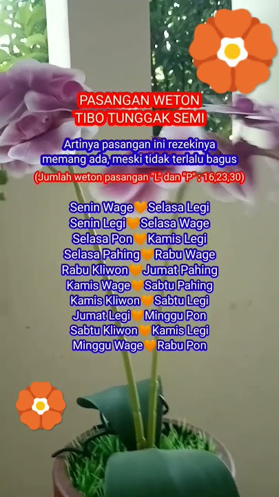 Pasangan weton tibo tunggak semi #weton#neptu#primbon#jodoh#pasaranjawa#tunggaksemi