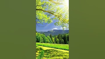 تلاوة مريحة للاعصاب 💓سورة النور