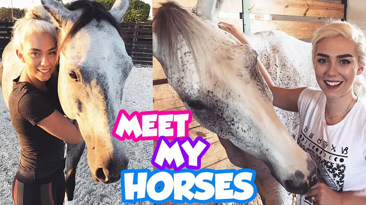 MEET ALL MY HORSES! Get To Know My Pets! | NICOLE ...
