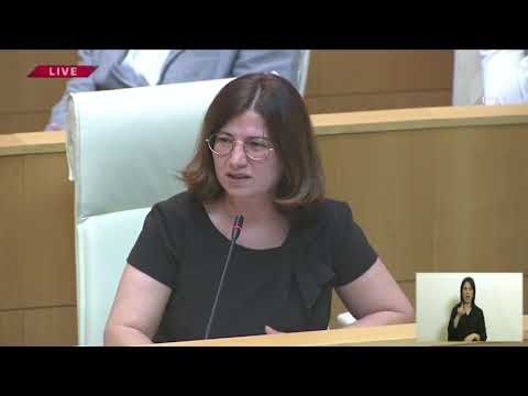 ირმა ნადირაშვილის შეკითხვა