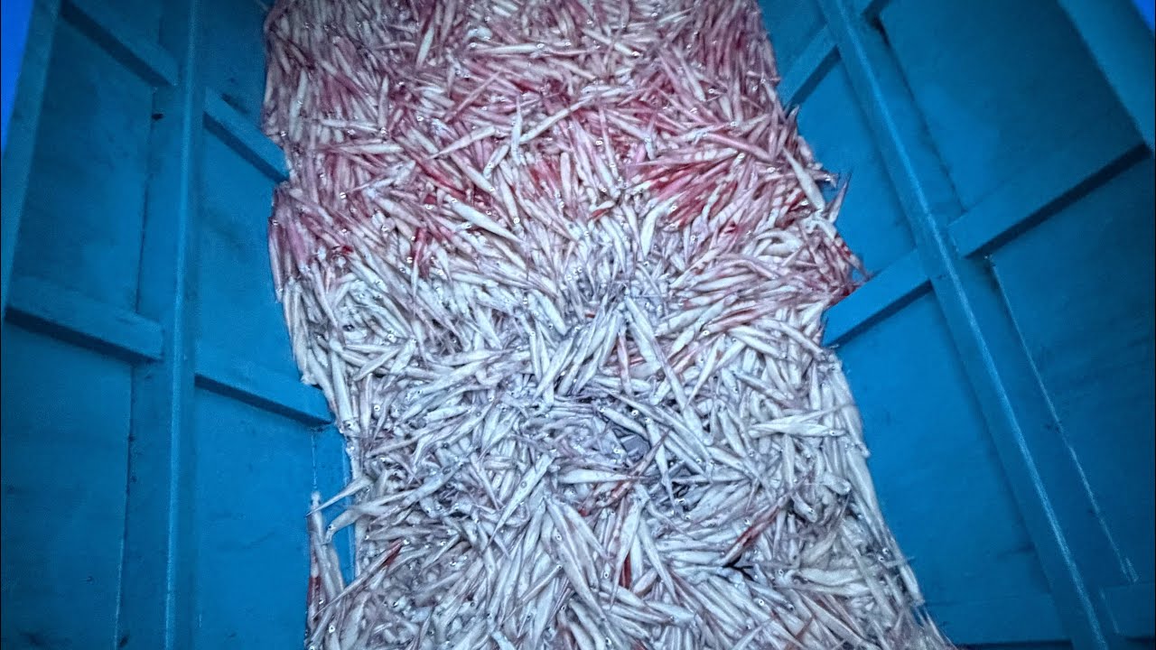 Sa Isang Gabi kumita sila ng 200k Grabi sobrang dami nito!