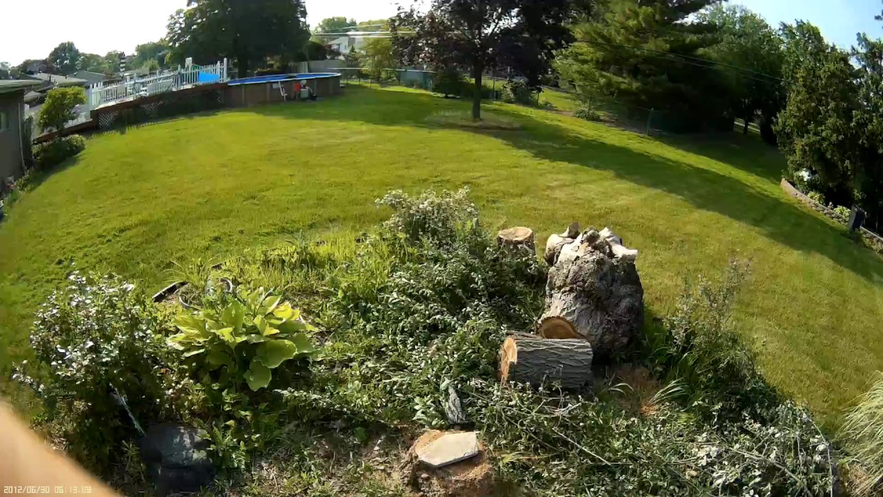 Plans for backyard landscaping. YouTube