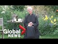 Cat steals some milk during Dean of Canterbury Cathedral&#39;s morning sermon