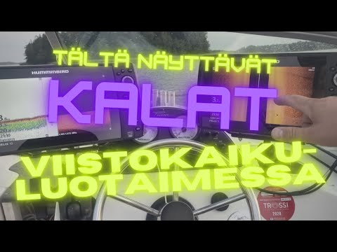 Video: Kuinka Pitää Kalat Syntyneenä