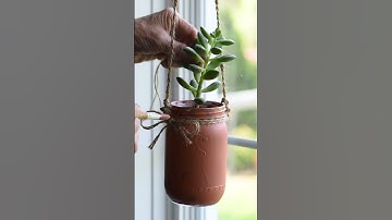 Genius Jar Upcycle for Your Plants 🌱
