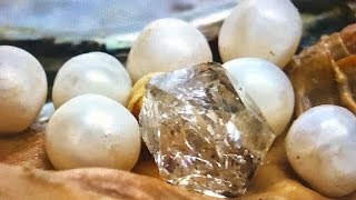 REAL DIAMOND & PEARLS FOUND IN OYSTER....IN TOTAL SHOCK!! ON FUN HOUSE TV