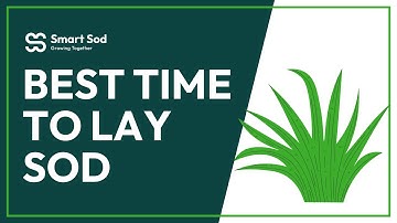 The best time of year to lay sod (easy to follow tips for a healthy lawn)