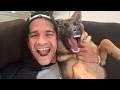 When Your Roommate is the Silliest Dog 😂 Funny Dog and Human Video